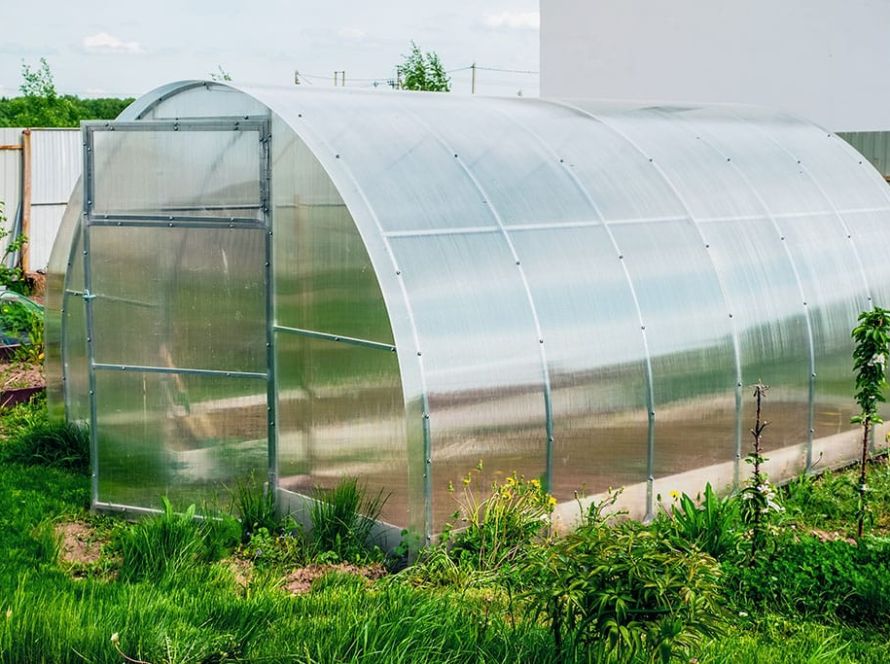 articol blog 1 carboplak