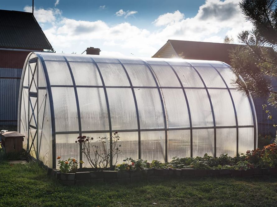 poza articol blog2 10 motive