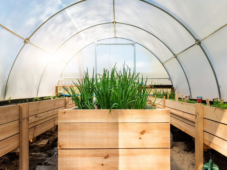 Poza 1 articol blog 2