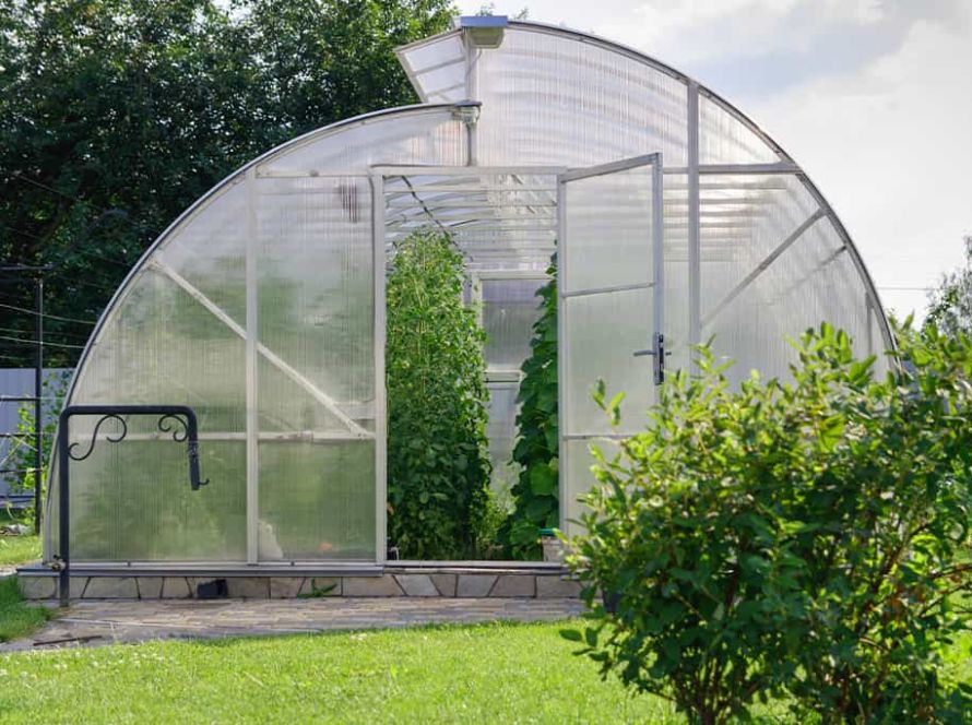 carboplak articol blog2 cover update