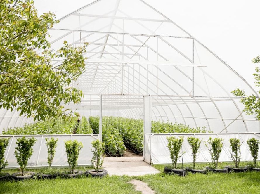 beautiful countryside greenhouse trees 1