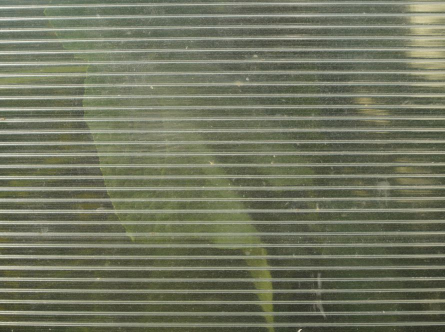 polycarbonate greenhouse closeup with vegetation it scaled 1