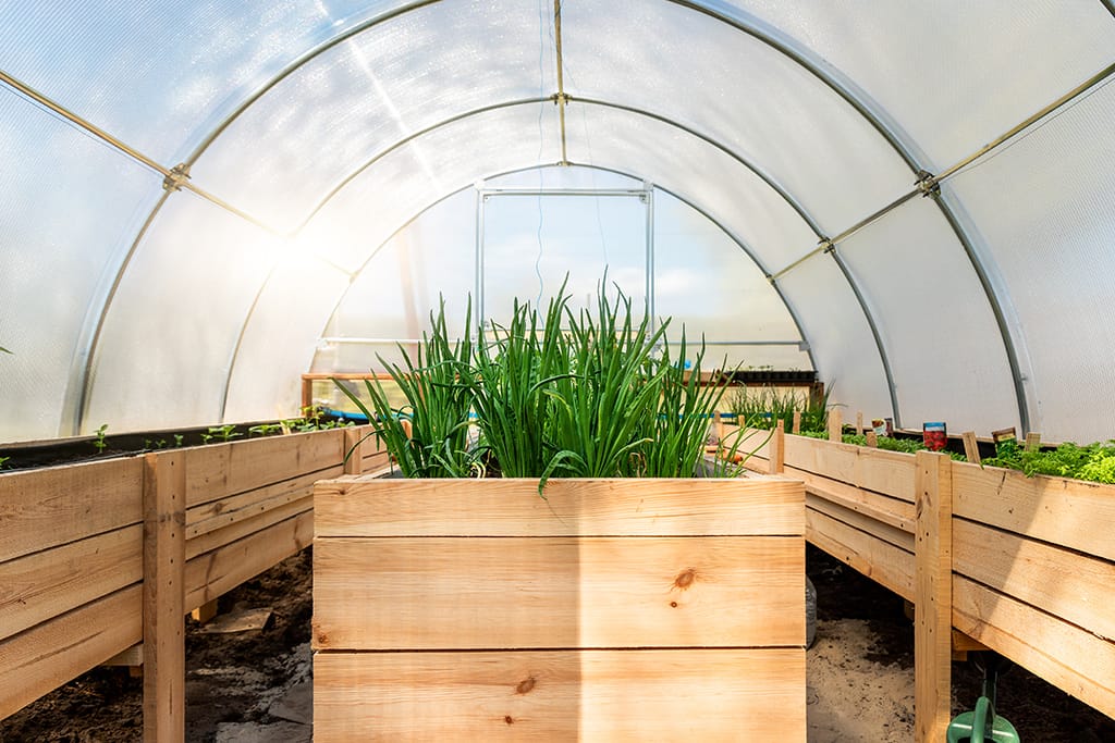 Poza 1 articol blog 2