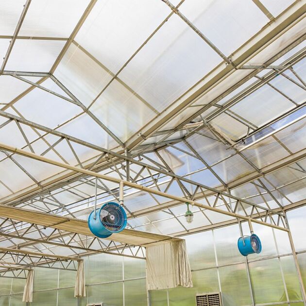 glass green house for agriculture